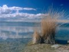 The lake Khar-Us-Nuur
