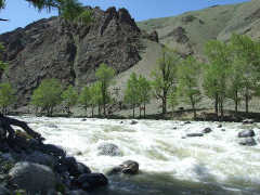 The river Bulgan-Gol