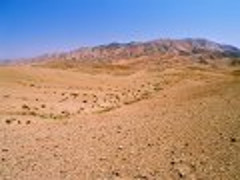 The Gobi desert. Clay gamad
